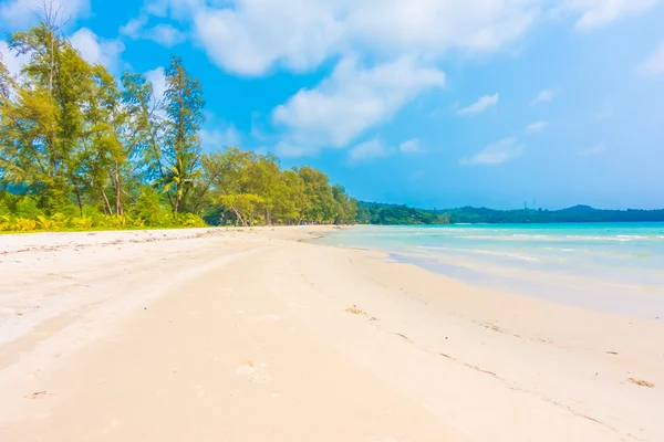 Güzel tropikal deniz ve kum plaj — Stok fotoğraf