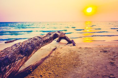 tropik sahilde güzel gün batımı
