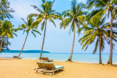 güzel tropik okyanus