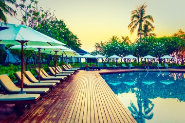 Hindistan cevizi hurma ağaçlarının Silhouettes