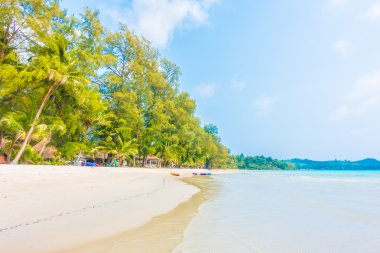 Güzel tropikal deniz ve kum plaj