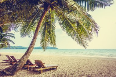 Güzel tropikal deniz ve kum plaj