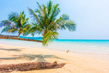 Güzel tropikal deniz ve kum plaj