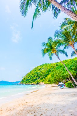 Güzel tropikal plaj ve deniz