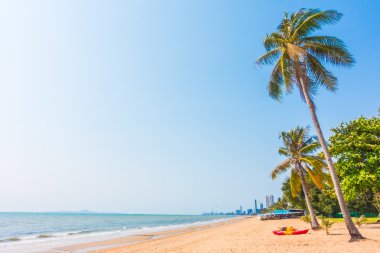 Sahilde palmiye ağacı