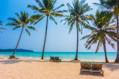 Güzel tropikal deniz ve kum plaj