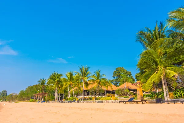 Mooi strand en zee met palmboom — Stockfoto