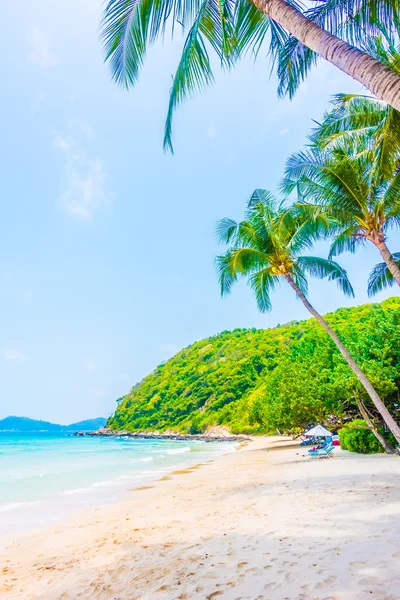 Güzel tropikal plaj ve deniz