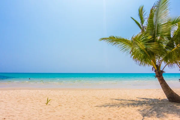 Belo oceano tropical e praia de areia — Fotografia de Stock