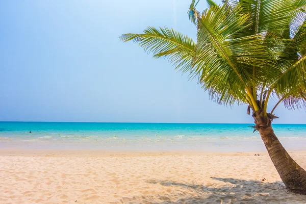 Hermoso océano tropical y playa de arena —  Fotos de Stock