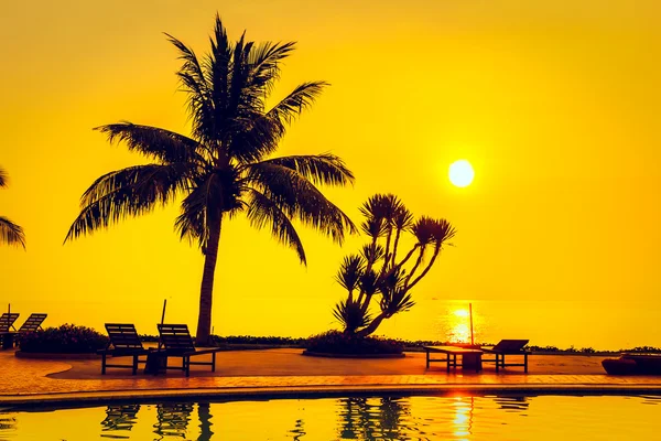 带游泳池的椰子棕榈树的剪影 — 图库照片