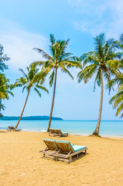 güzel tropik okyanus