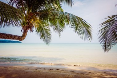 güzel tropik okyanus