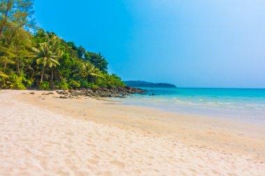Güzel tropikal deniz ve kum plaj