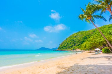 Güzel tropikal plaj ve deniz
