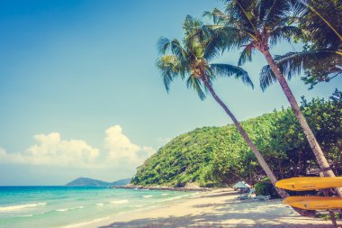 Güzel tropikal plaj ve deniz