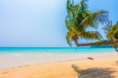 Güzel tropikal deniz ve kum plaj