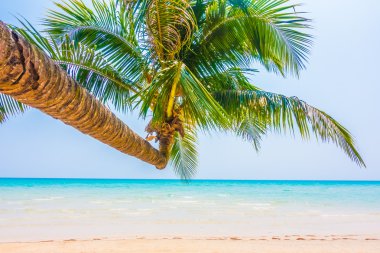 Güzel tropikal deniz ve kum plaj