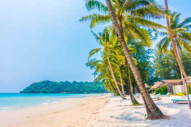 Güzel tropikal deniz ve kum plaj