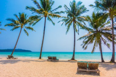 Güzel tropikal deniz ve kum plaj