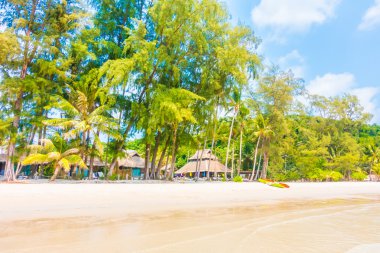 Güzel tropikal deniz ve kum plaj