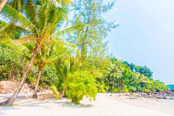 Güzel tropikal deniz ve kum plaj