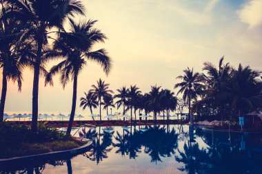 Ve Yüzme Havuzu palmiye ağaçlarının Silhouettes