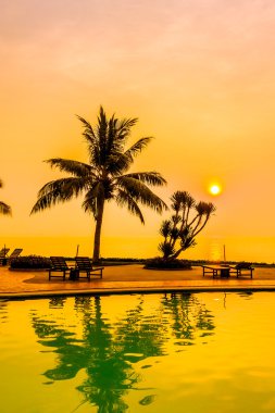 Yüzme Havuzu ile Hindistan cevizi hurma ağaçlarının Silhouettes