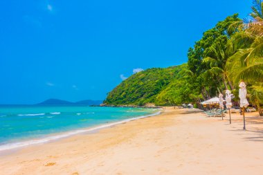 Güzel tropikal plaj ve deniz