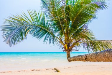 tropikal okyanus ve adada kum plaj