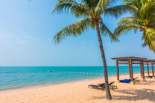 Beautiful beach and sea with palm tree