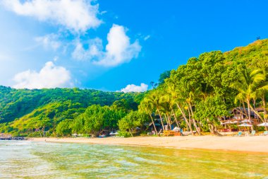 Güzel tropikal plaj ve deniz