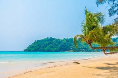 tropikal okyanus ve adada kum plaj