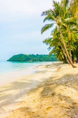 güzel tropik okyanus