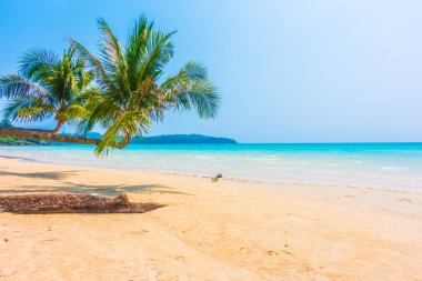 tropikal okyanus ve adada kum plaj