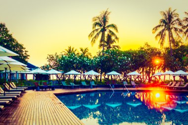 Hindistan cevizi hurma ağaçlarının Silhouettes