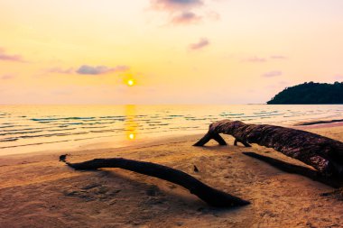 Güzel tropikal deniz ve kum plaj