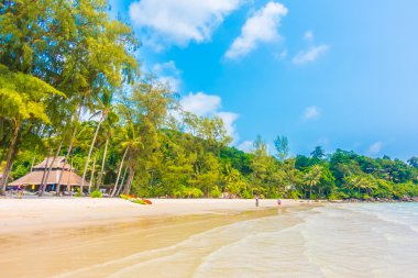 tropikal okyanus ve adada kum plaj