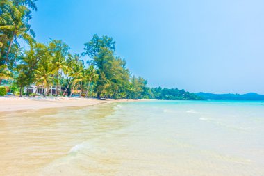 tropikal okyanus ve adada kum plaj