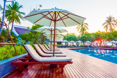 Hindistan cevizi hurma ağaçlarının Silhouettes