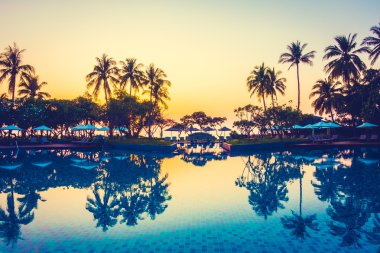 Hindistan cevizi hurma ağaçlarının Silhouettes