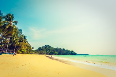 Güzel tropikal plaj ve deniz