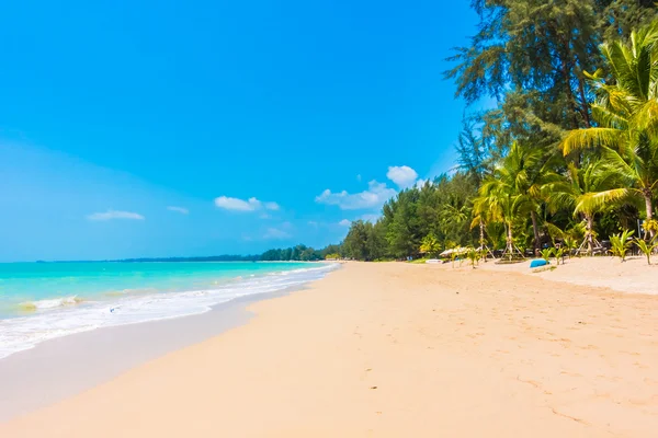 Güzel tropikal plaj ve deniz