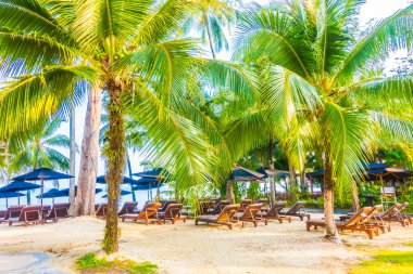 güzel tropikal plaj ve deniz manzara