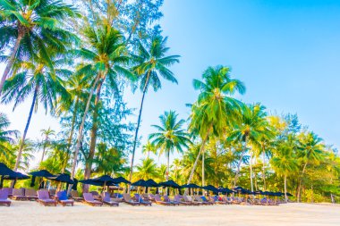 güzel tropikal plaj ve deniz manzara