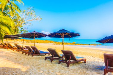 güzel tropikal plaj ve deniz manzara