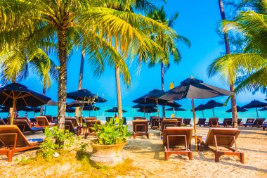 güzel tropikal plaj ve deniz manzara