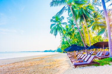 güzel tropikal plaj ve deniz manzara