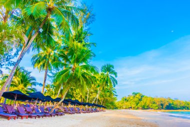 güzel tropikal plaj ve deniz manzara