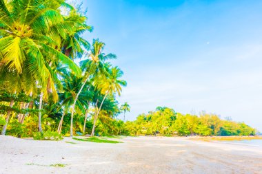 güzel tropikal plaj ve deniz manzara
